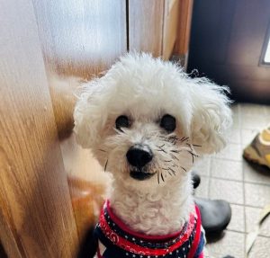 泉南動物病院画像