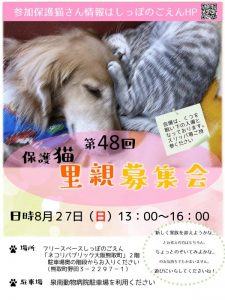 泉南動物病院画像