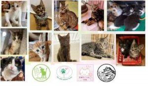 泉南動物病院画像
