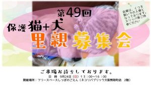 泉南動物病院画像