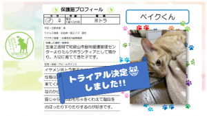 泉南動物病院画像