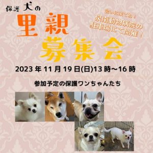 泉南動物病院画像