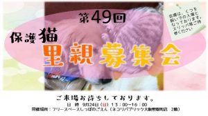 泉南動物病院画像