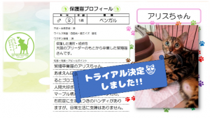 泉南動物病院画像