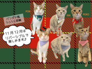 泉南動物病院画像
