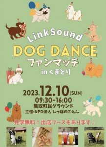 泉南動物病院画像
