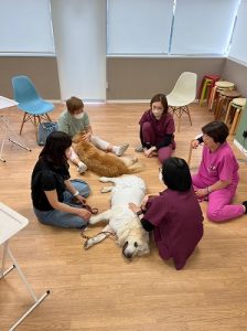 泉南動物病院画像
