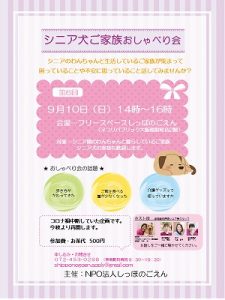 泉南動物病院画像