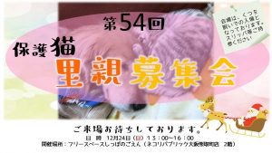 泉南動物病院画像