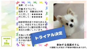 泉南動物病院画像