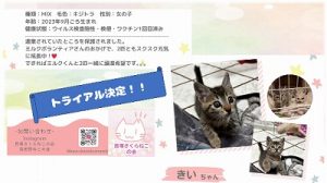 泉南動物病院画像