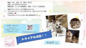 泉南動物病院画像