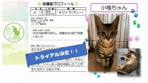泉南動物病院画像