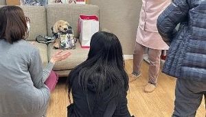 泉南動物病院画像
