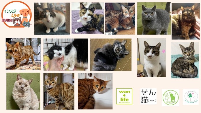 泉南動物病院画像