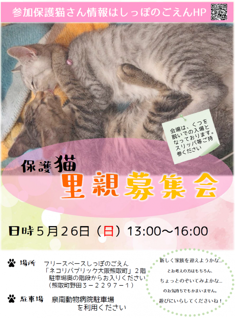 泉南動物病院画像
