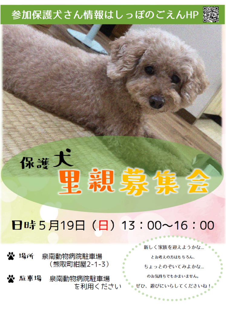 泉南動物病院画像