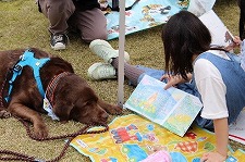 泉南動物病院画像