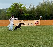 泉南動物病院画像