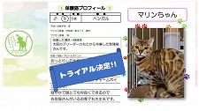 泉南動物病院画像