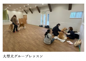 泉南動物病院画像