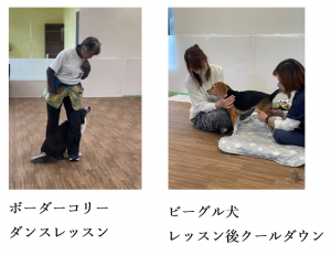 泉南動物病院画像