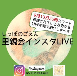 泉南動物病院画像