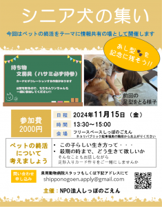 泉南動物病院画像