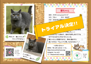 泉南動物病院画像