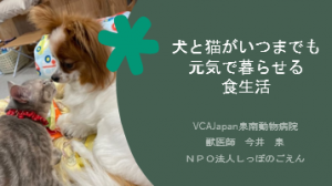 泉南動物病院画像
