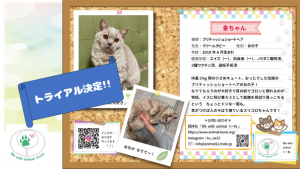 泉南動物病院画像