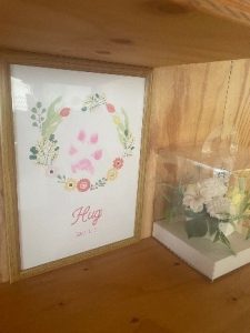 泉南動物病院画像