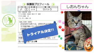 泉南動物病院画像