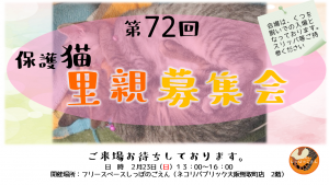 泉南動物病院画像