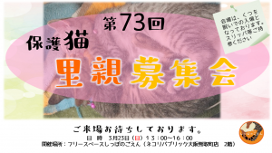 泉南動物病院画像