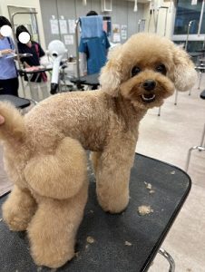 泉南動物病院画像
