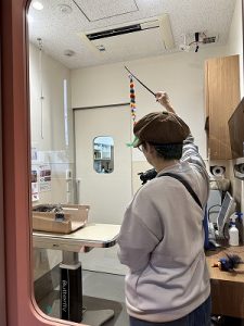 泉南動物病院画像