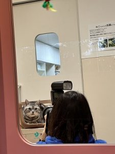 泉南動物病院画像