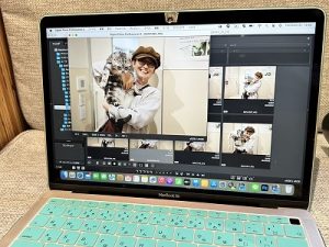泉南動物病院画像