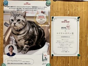 泉南動物病院画像