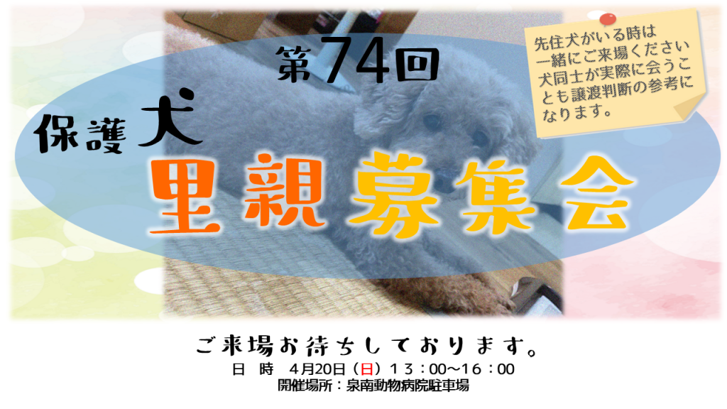 泉南動物病院画像