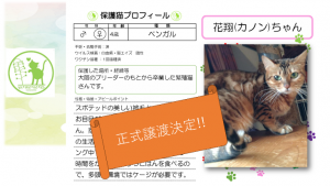 泉南動物病院画像