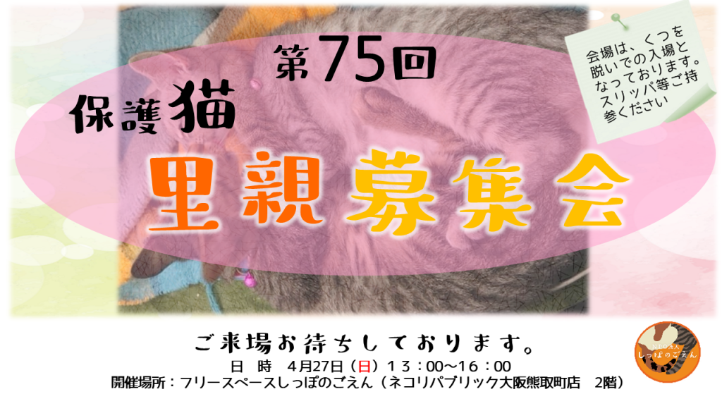 泉南動物病院画像