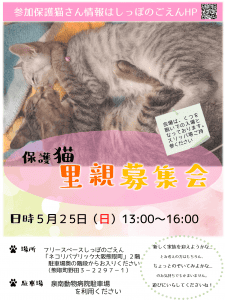 泉南動物病院画像