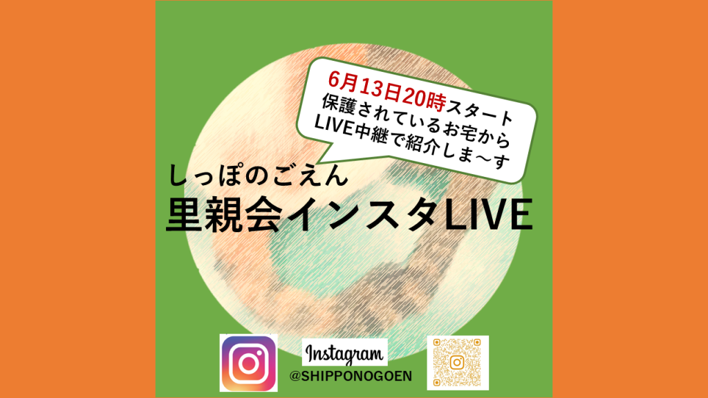 6月参加