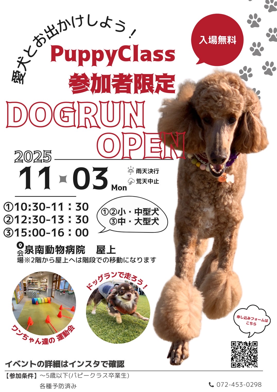 ドッグラン