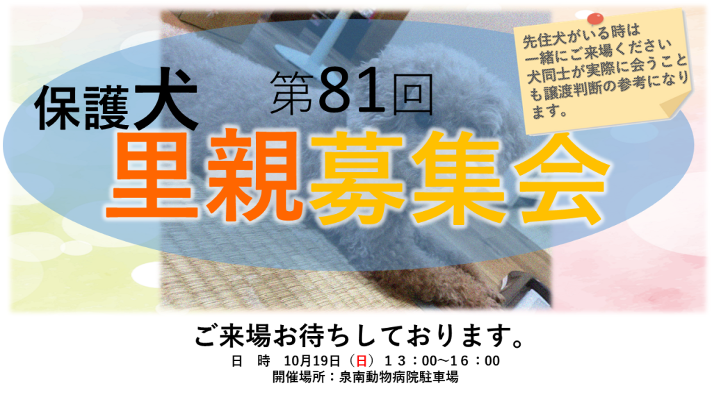 第81回里親募集会（犬）