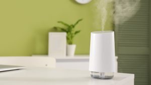 冬の「バチッ!」はペットもつらい。今日からできる愛犬・愛猫の乾燥と静電気対策【3つの習慣】 (2)