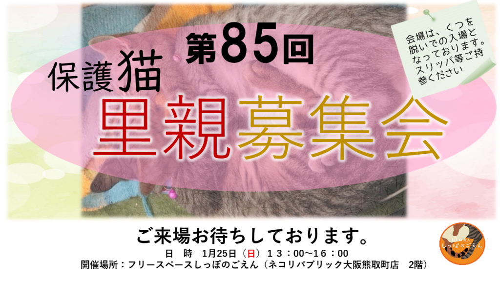 第85回里親募集会