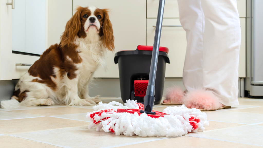 大掃除で使うその洗剤、ペットには危険かも?愛犬・愛猫を守る「薬剤・殺虫剤」の安全な扱い方 (3)